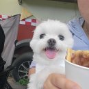 캠프향기