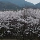 팔공산온천관광호텔 이미지