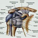 이지한의원 이미지