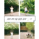 한바다약국 | 세부 막탄 4박 5일 부모님과 가족여행 일정 공유