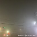 페리카나치킨 갈산점 | 양념치킨은 역시 페리카나