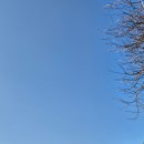 월산낚시터(월산저수지) 이미지