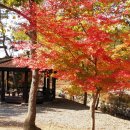 한천자연휴양림 이미지