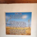 청기와보리밥 이미지