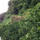 신효동-25 이미지