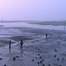 시네아스트극장 이미지