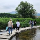 삼문동둔치길(삼문송림) 이미지