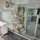 어서오시개 이미지