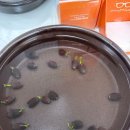 메디메이트 이미지