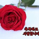 샬롬 이미지