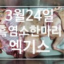 도장 흑염소 이미지