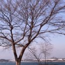 본점장터순대국 이미지