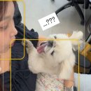 에세이 쓰기 | 넷플연가(현 동행클럽)우당탕탕 에세이클럽 후기, 에세이 쓰기 모임을 마치며 *긴글주의