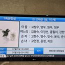 고*태 - 미추홀구 비룡길 | 고*태