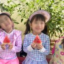 성빈센트유치원 이미지