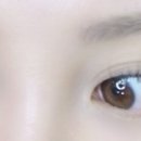 아니스 속눈썹