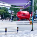 까페 파스쿠찌 이미지