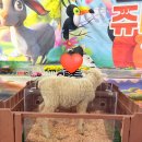 예림유치원 이미지