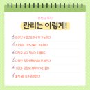 성공세탁 이미지