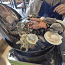 농수산시장 농협 옆 | 정식 회양과 국수군 | 젤마씨 | 이호테우 해변 | 동문시장 늘스마일수산&amp;진성농수산 | 몽그레 | 자매국수