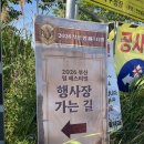 김밥천국화명대천점 | 2026 부산 밀페스티벌 후기 | 기대 이상이었던 먹거리 천국, 또 가고 싶은 축제!