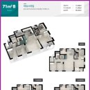 스타리버파크 이미지