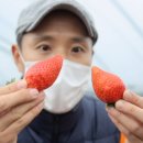 옥녀봉농장 이미지