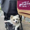 진선동물병원 이미지