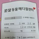 쪼꼬동물메디컬센터 이미지