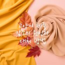 하나로동물병원 이미지