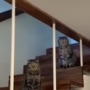 오씨주택 이미지