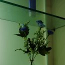 힐 하우스 이미지