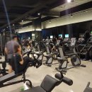 베스트 피트니스 이미지