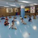 태권박사 체육관 이미지