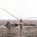 이호조아 이미지