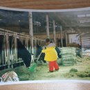 삼민목장 이미지