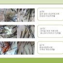 스킨앤두피