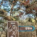 장성공원2 이미지