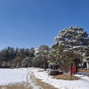 하얀천국 이미지