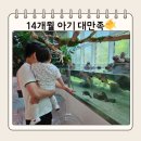 롯데몰 앞2 | 은평 롯데몰 아쿠아가든카페 가격, 주차, 14개월 아기 방문 후기 🐠