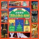대덕대로512번길(유성-103) | 유성온천 크리스마스 축제 2025 주차 꿀팁 프로그램 주변맛집 정리