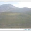 지탄목장 이미지