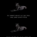 늙은 개 이미지