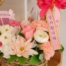 야간)꽃과 원예 이미지