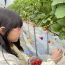 탄부초등학교 이미지