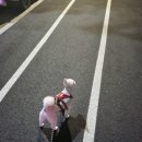 이엘카센터 이미지