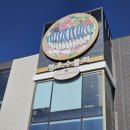 속초회물회