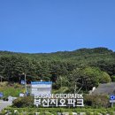 영도대교 01064 이미지