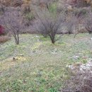 지안농장 이미지