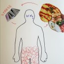 온마음연구소 - 서초구 강남대로30길 40 | 온마음연구소